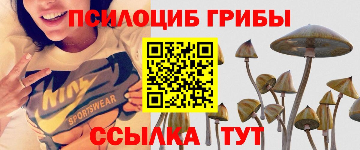 Архангельск  Галлюциногенные грибы прущие грибы  закладки  Галлюциногенные грибы GOLDEN TEACHER  Вход с VPN 
